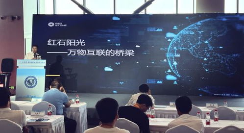 红石阳光在2023年中国 廊坊国际经济贸易洽谈会上发布红石ai物联网数字科技平台