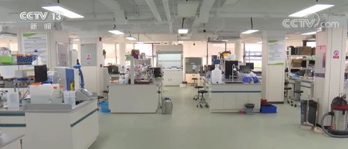 数字科技加速 南繁硅谷 建设 为种业 中国芯 注入海南力量