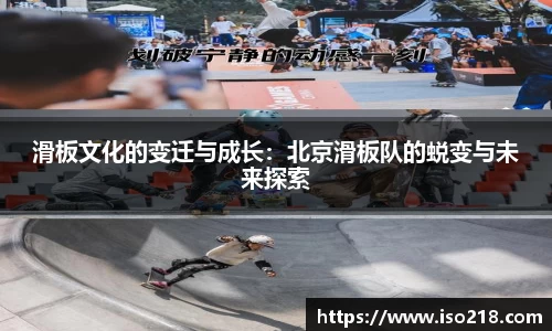 星空综合官网