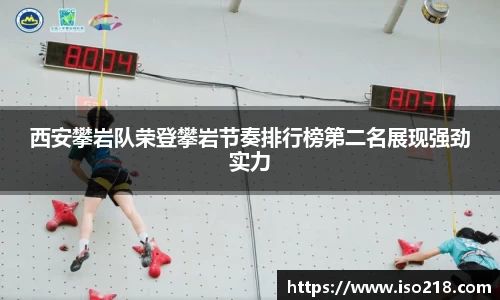 星空综合官网