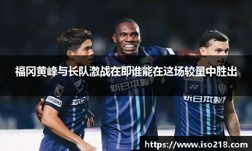 星空综合官网