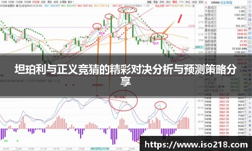 星空综合官网