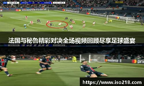 星空综合官网