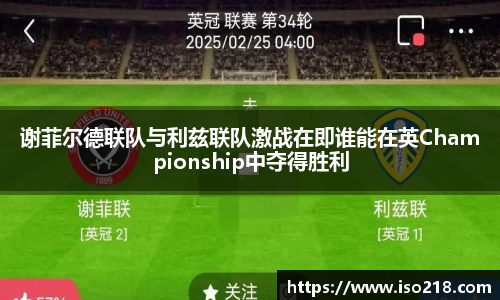 星空综合官网