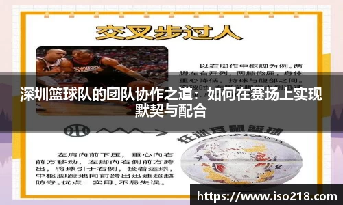 星空·综合体育